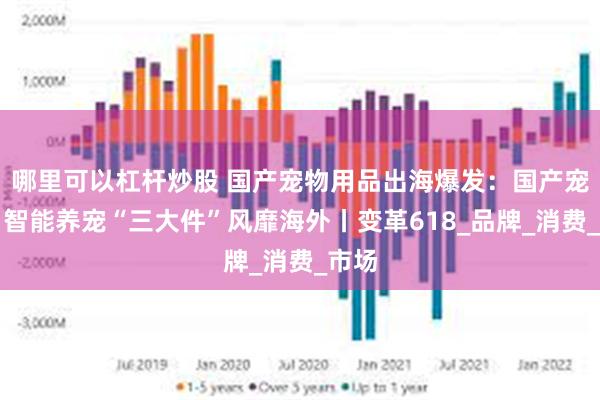 哪里可以杠杆炒股 国产宠物用品出海爆发：国产宠粮、智能养宠“三大件”风靡海外丨变革618_品牌_消费_市场