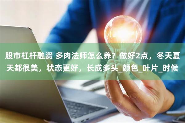 股市杠杆融资 多肉法师怎么养？做好2点，冬天夏天都很美，状态更好，长成多头_颜色_叶片_时候