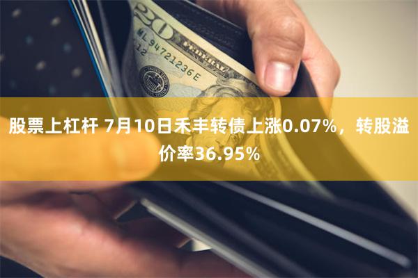 股票上杠杆 7月10日禾丰转债上涨0.07%，转股溢价率36.95%