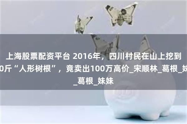 上海股票配资平台 2016年，四川村民在山上挖到250斤“人形树根”，竟卖出100万高价_宋顺林_葛根_妹妹