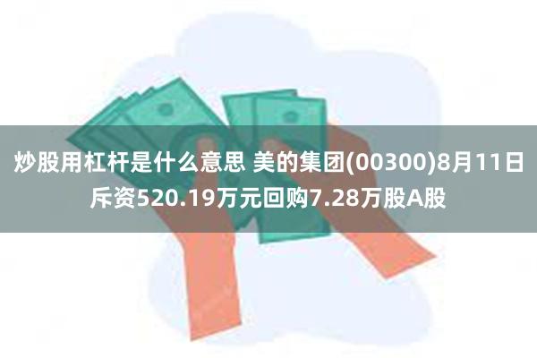 炒股用杠杆是什么意思 美的集团(00300)8月11日斥资520.19万元回购7.28万股A股